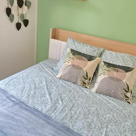 Serenity, 8 Couchages Parking 8mm A Pies Du Sanctuaire Apartment Lourdes